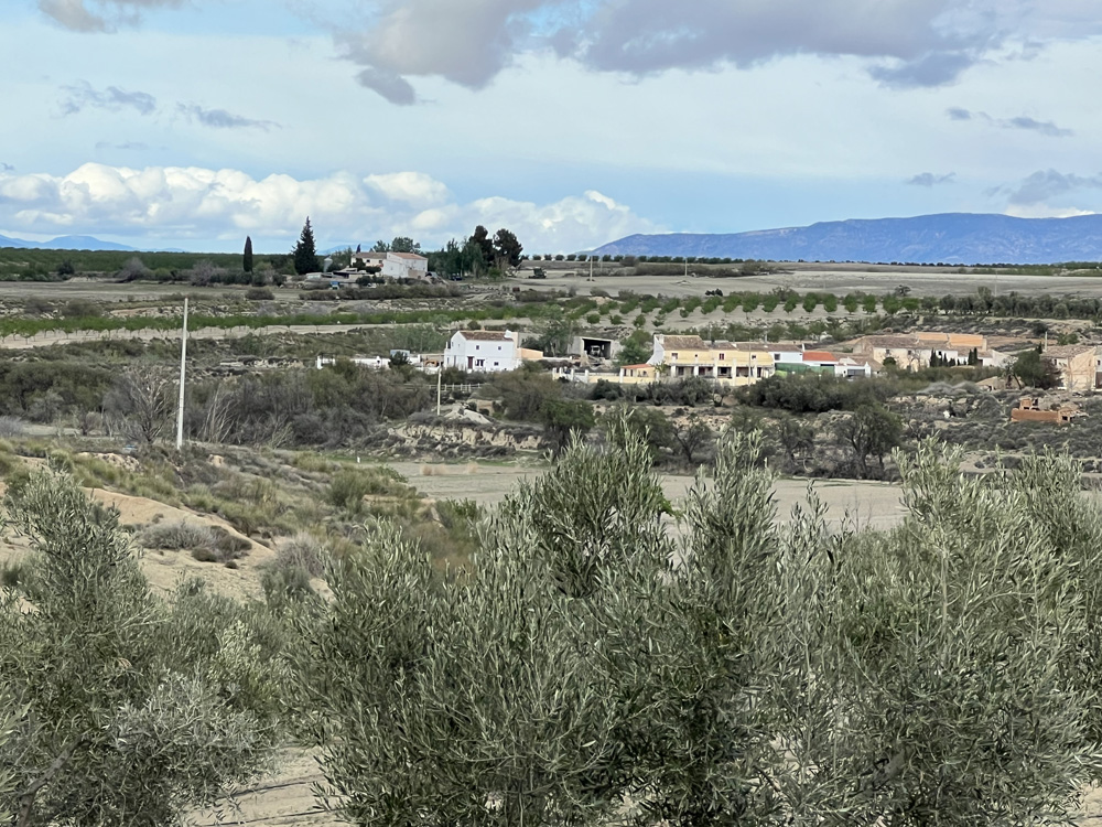 Monta Vista